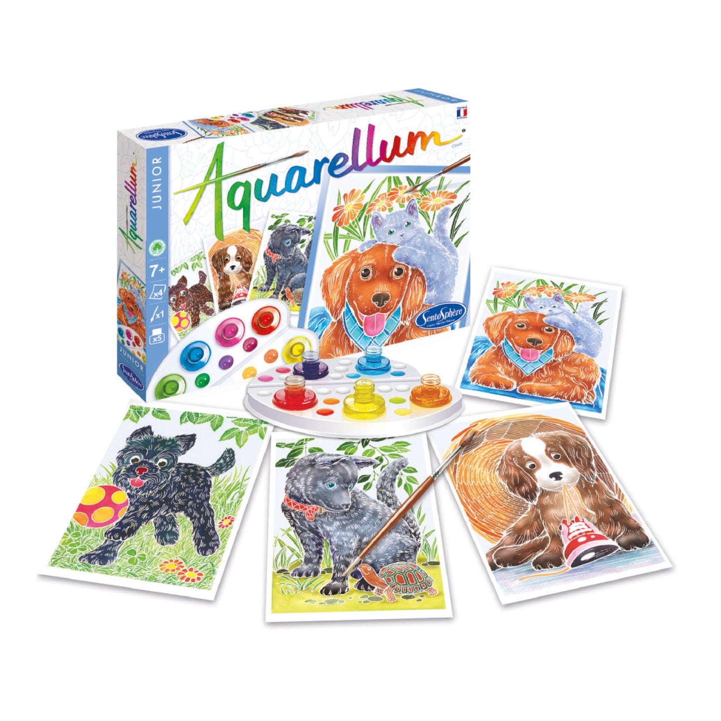 Aquarellum Junior - Puppies