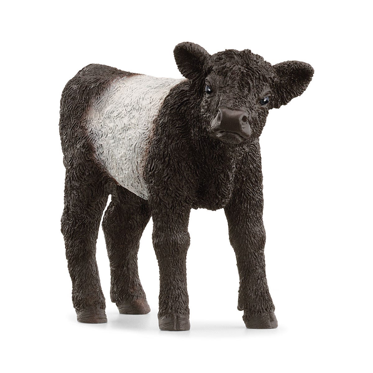 Galloway Calf - 13969 - Schleich