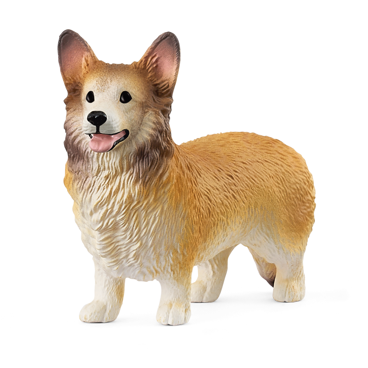 Welsh Corgie - 13999