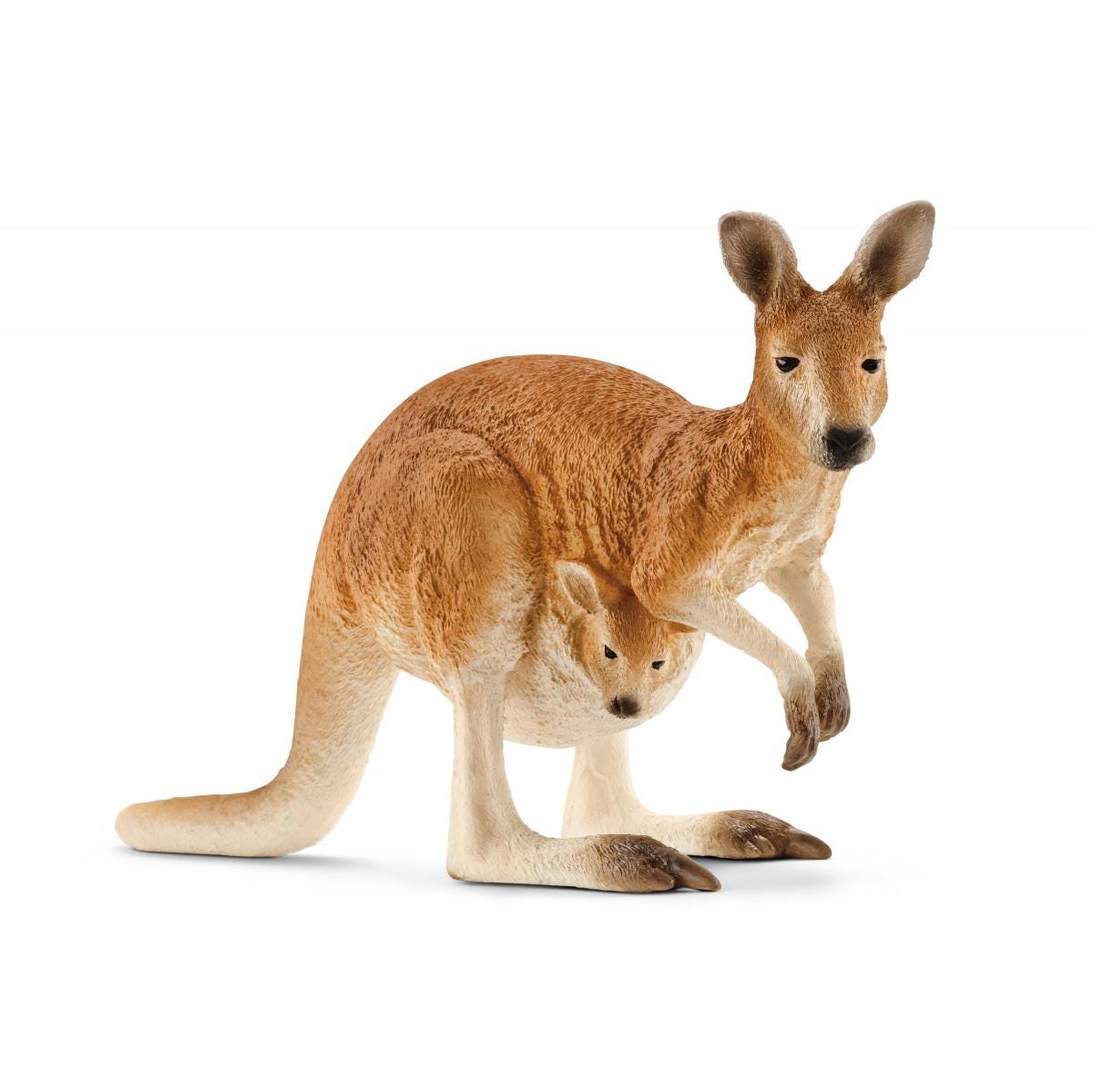 Kangaroo - 14756 - Schleich