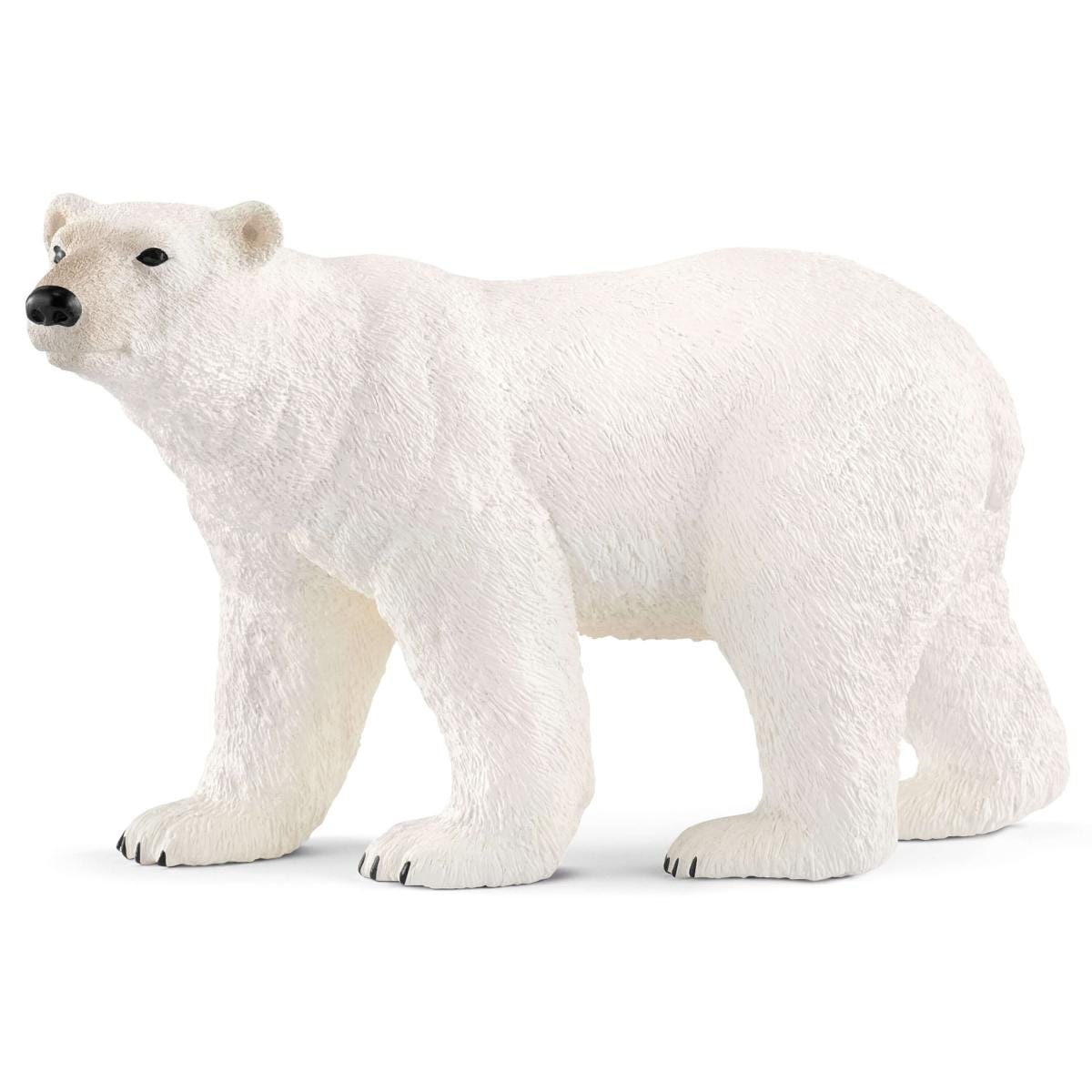 Polar Bear - 14800