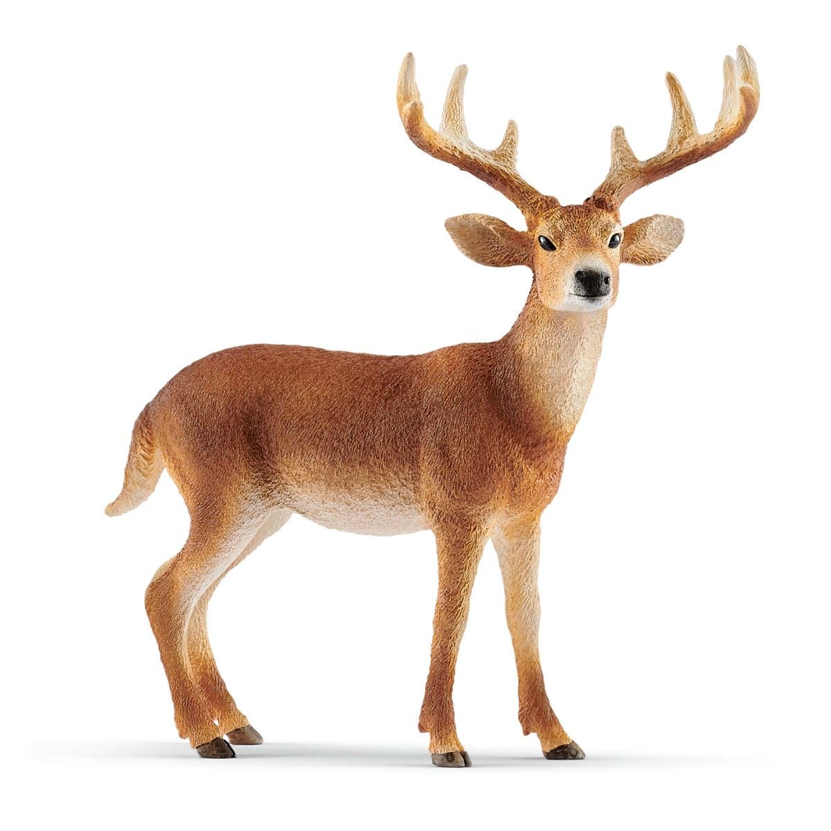 White Tailed Buck - 14818 - Schleich