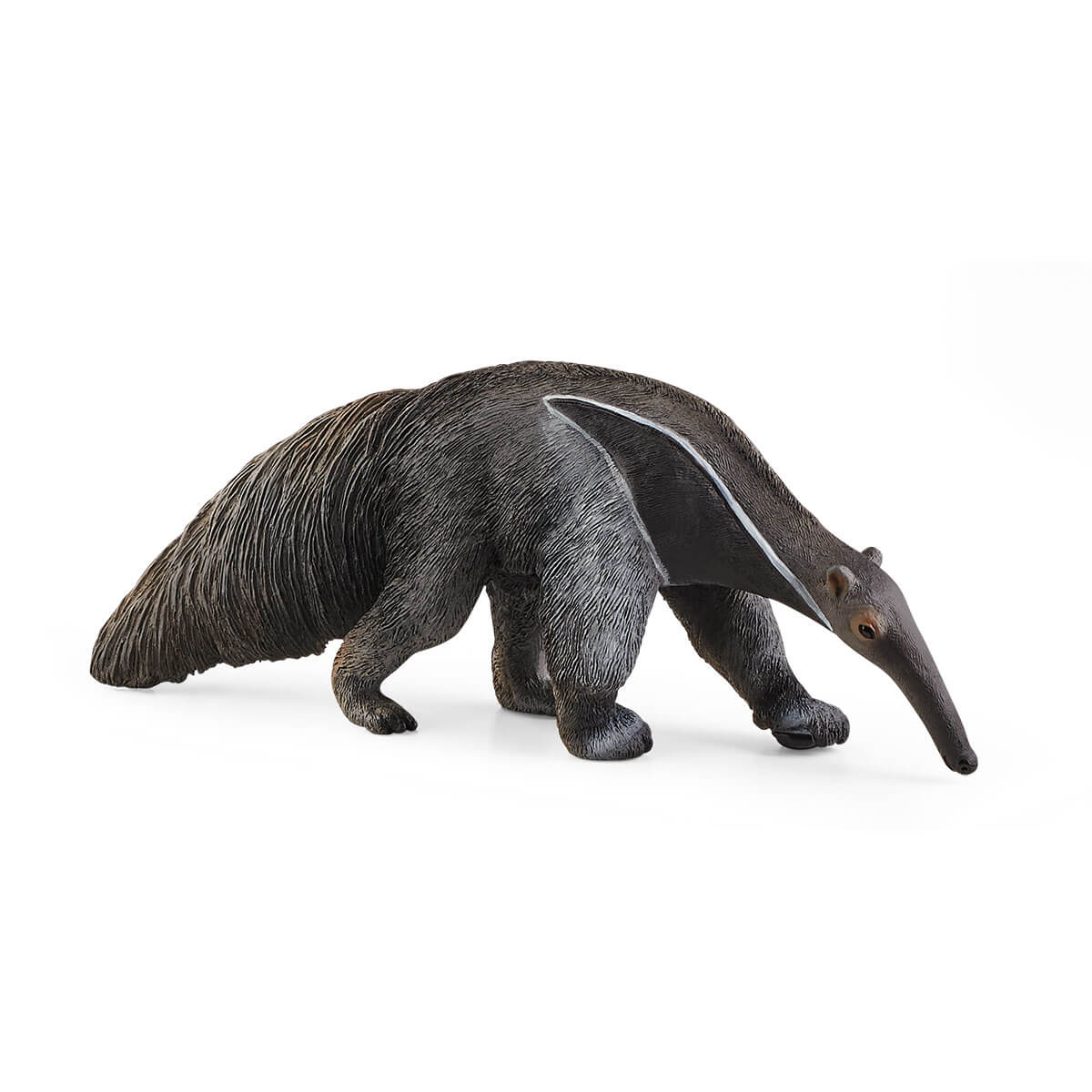 Anteater - 14844