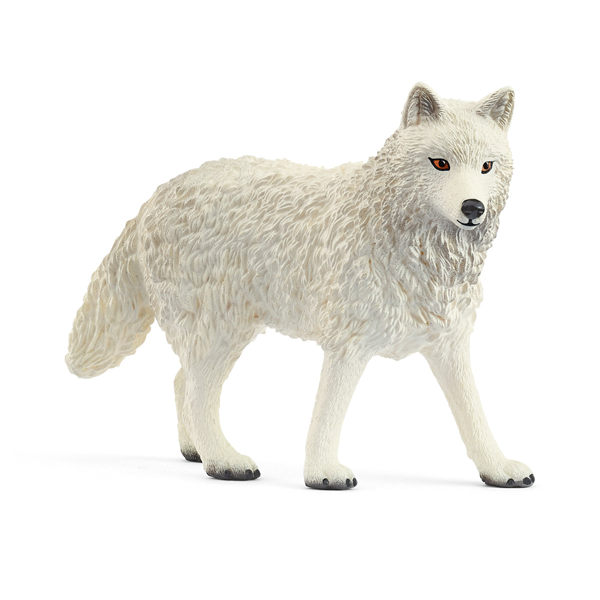 Arctic Wolf - 14880