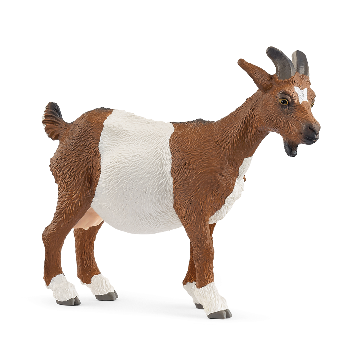 Goat - 14887