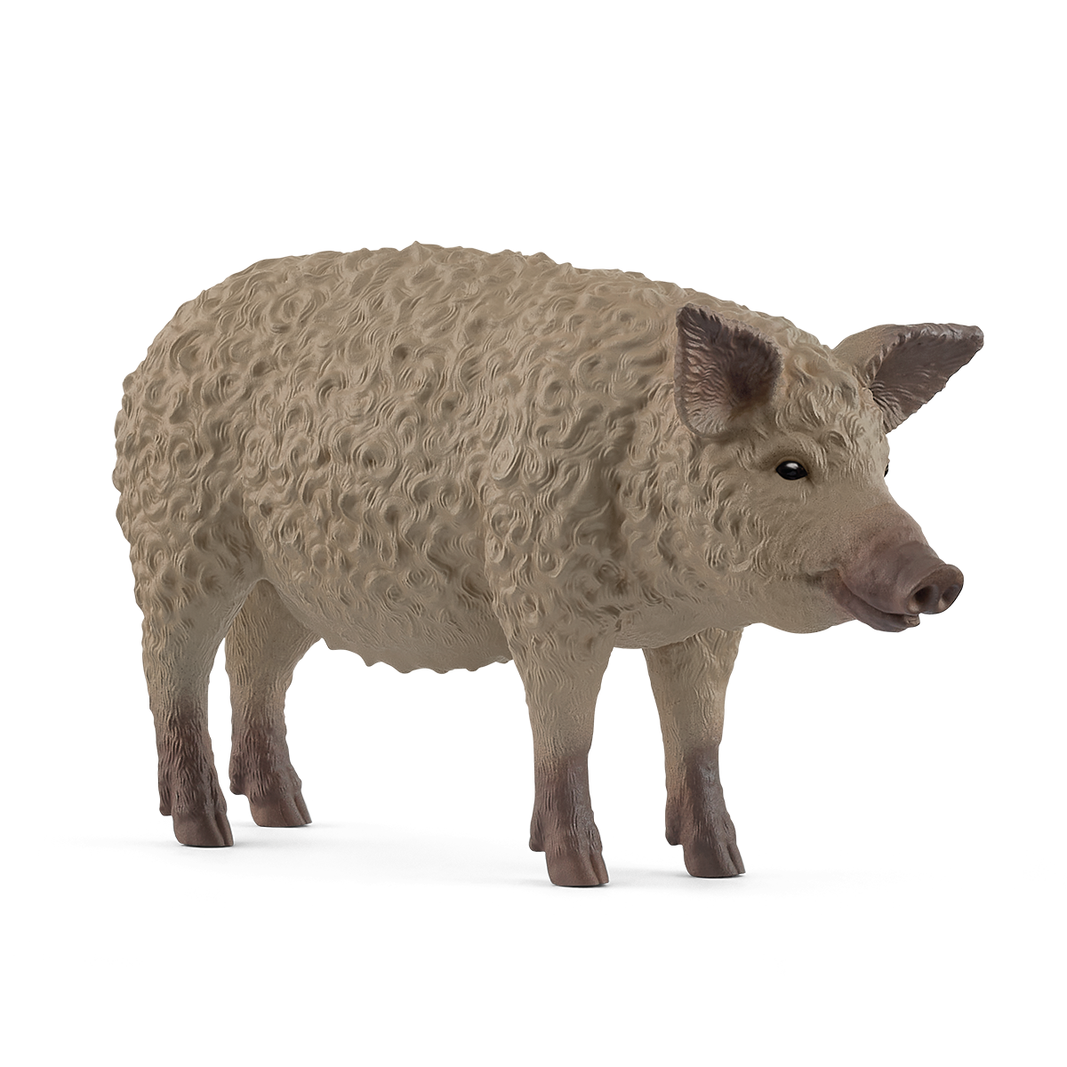 Mangalica Pig - 14892