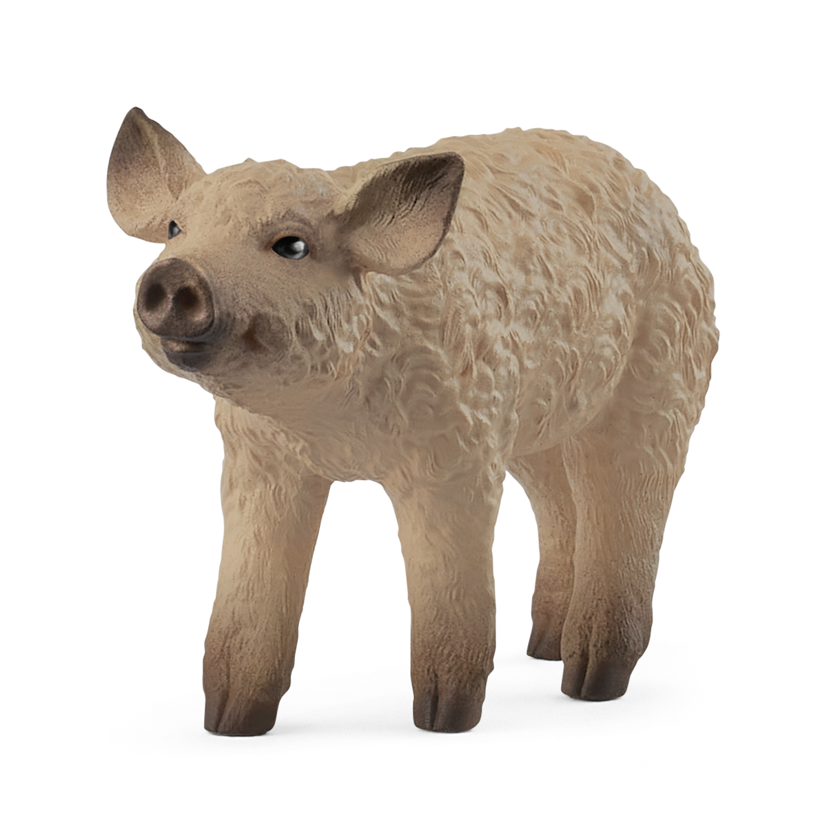 Mangalica Piglet - 14893