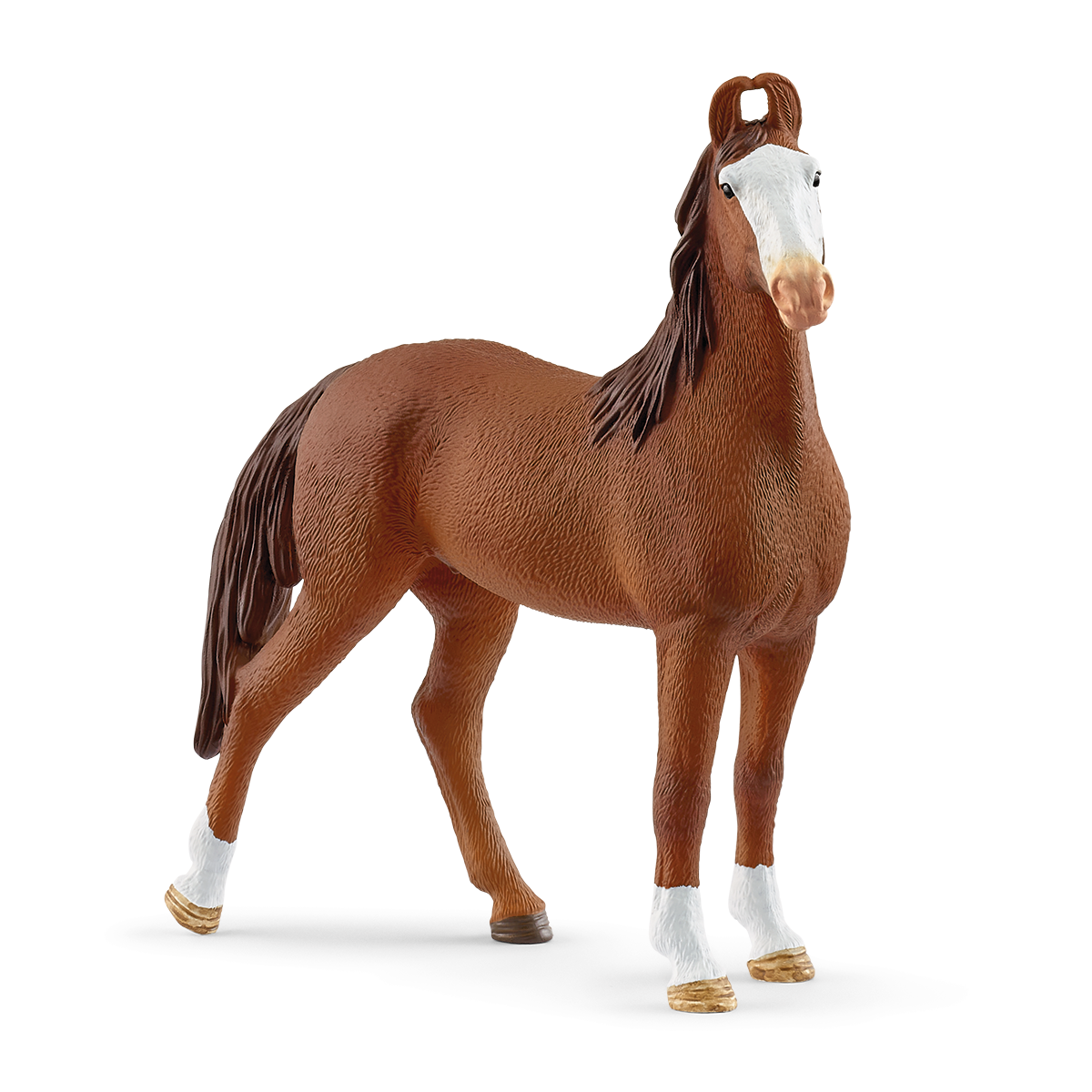 Marwari Mare - 14897