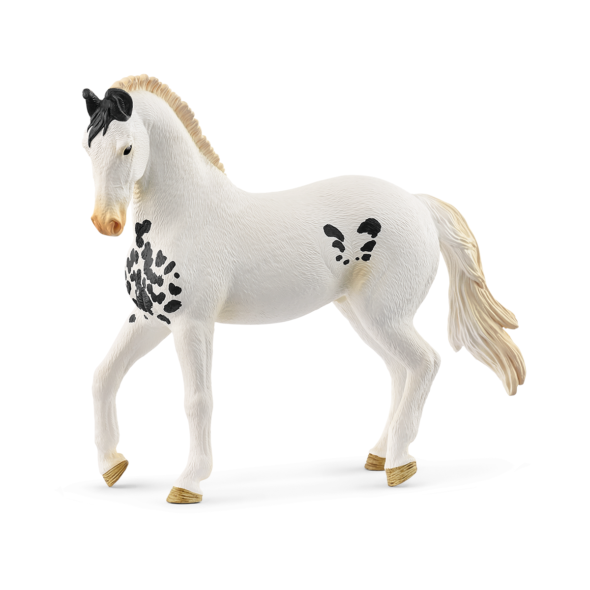 Marwari Stallion - 14898