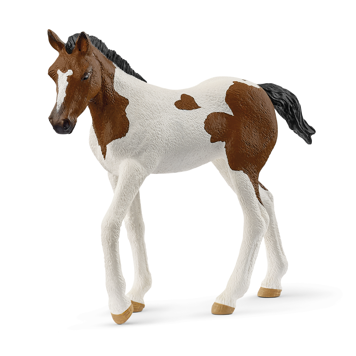 Paint Horse Foal - 14899