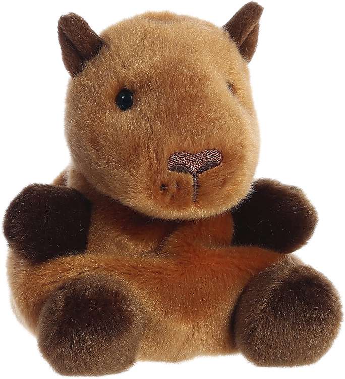 Palm Pals - Sid Capybara