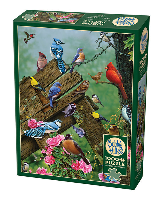1000 Piece - Birds Of The Forest - Cobble Hill
