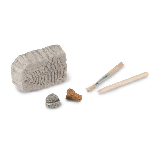 Fossil Dig Paleontology Kit - Heebie Jeebies