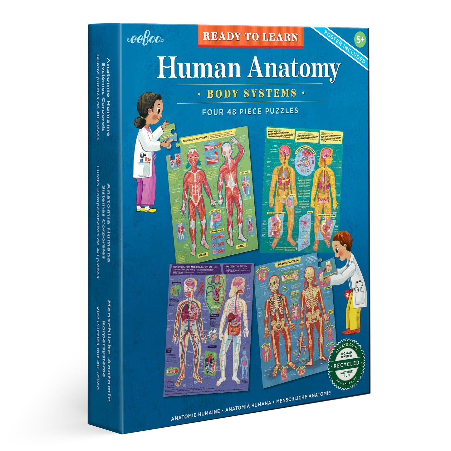 4X48 Piece - Human Anatomy - Body Systems - Eeboo