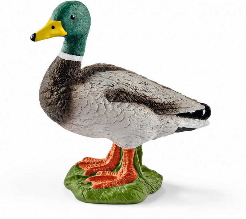 Drake - 13824 - Schleich