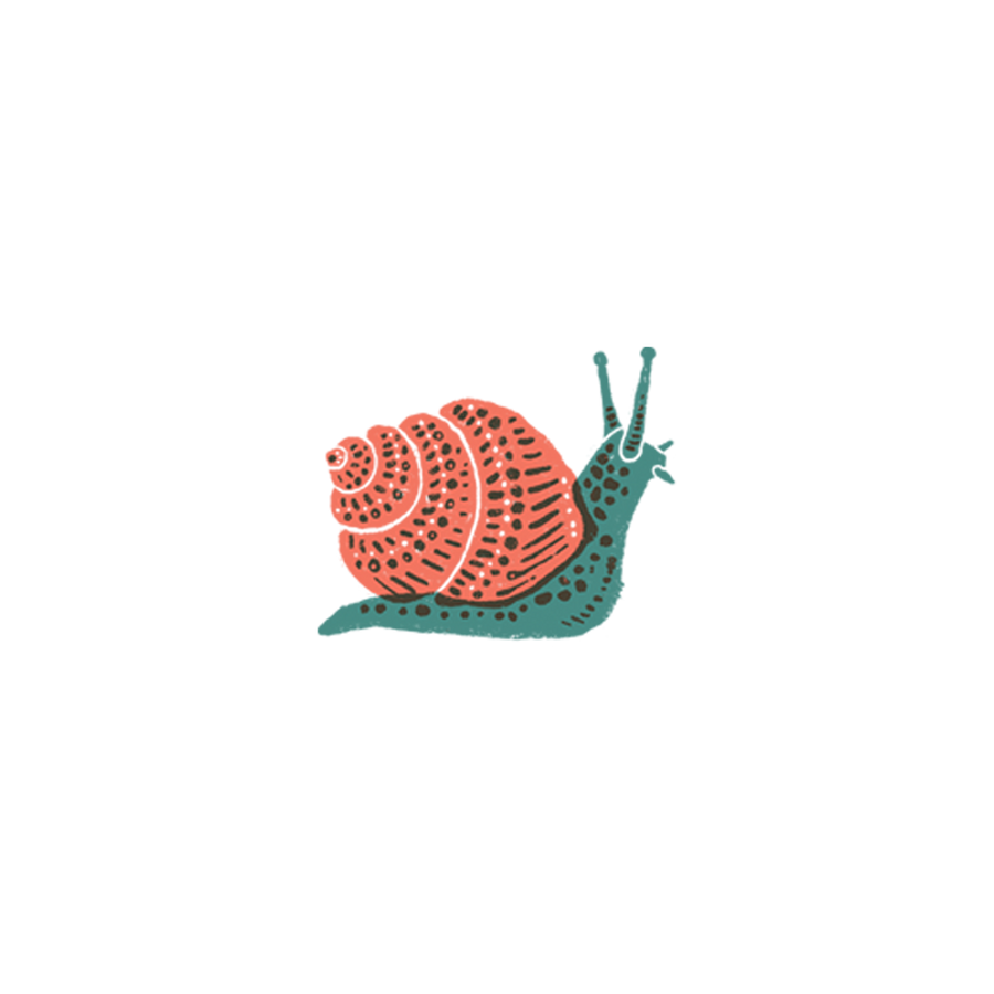 Tattoo - Snail - Tattly