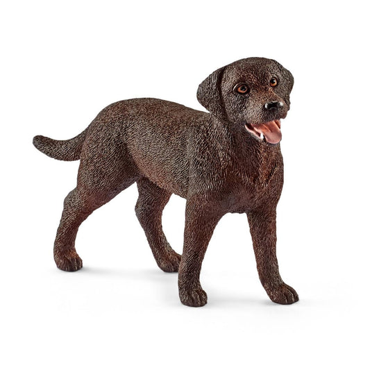 Labrador Retriever Female - 13834