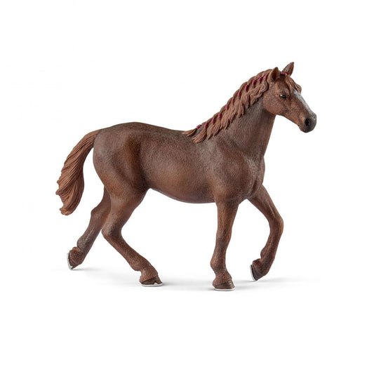 English Thoroughbred Mare - 13855