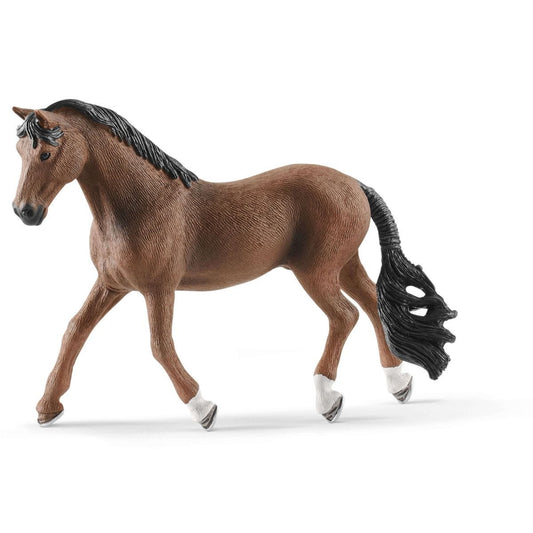 Trakehner Gelding - 13909