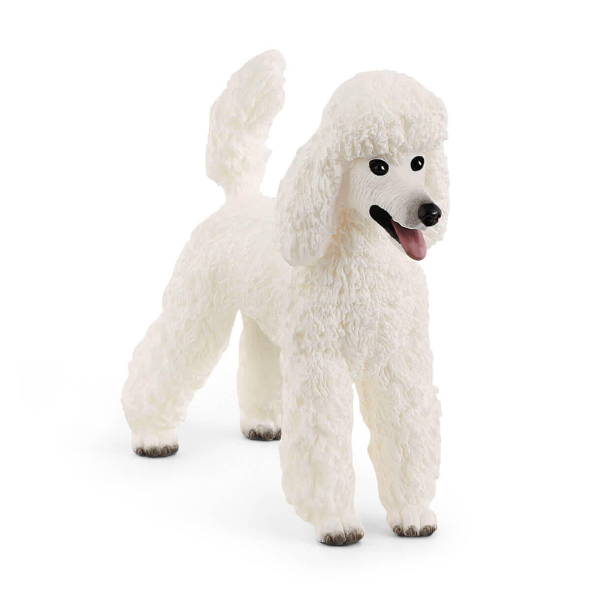 Poodle - 13917