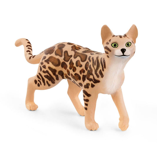 Bengal Cal - 13918
