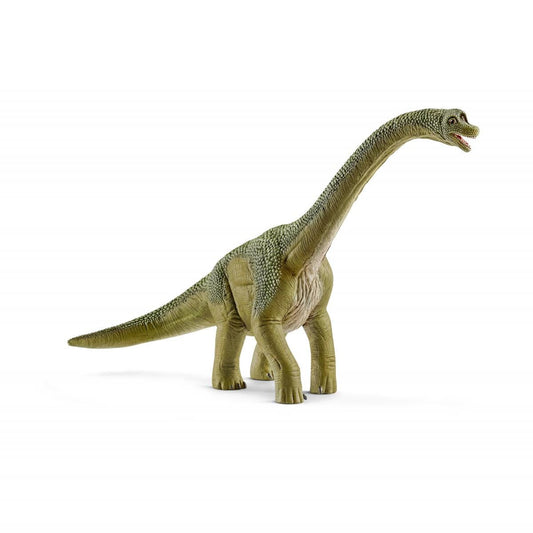 Brachiosaurus - 14581