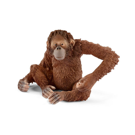 Orangutan Female - 14775