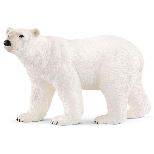 Polar Bear - 14800