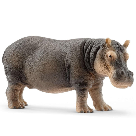 Hippopotamus - 14814 - Schleich