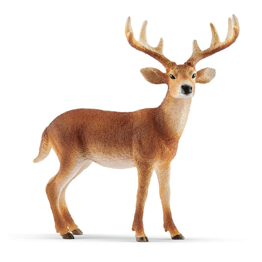 White Tailed Buck - 14818 - Schleich