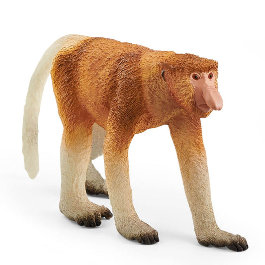 Proboscis Monkey - 14846