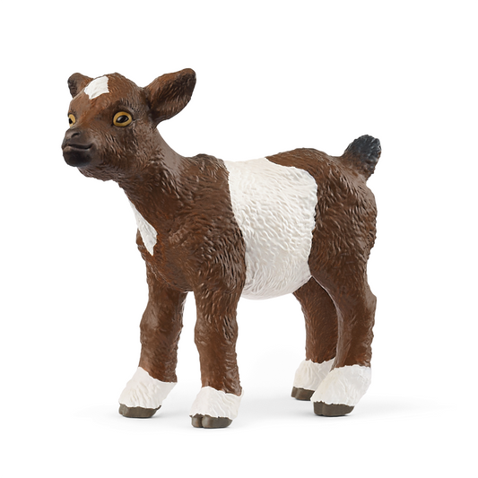 Goat Kid - 14888