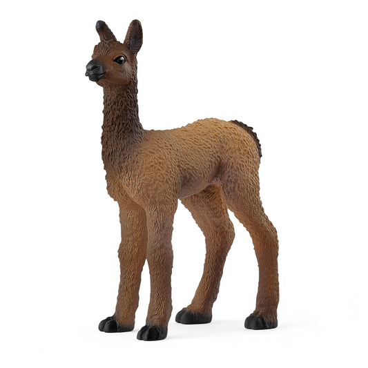 Llama Foal - 14890
