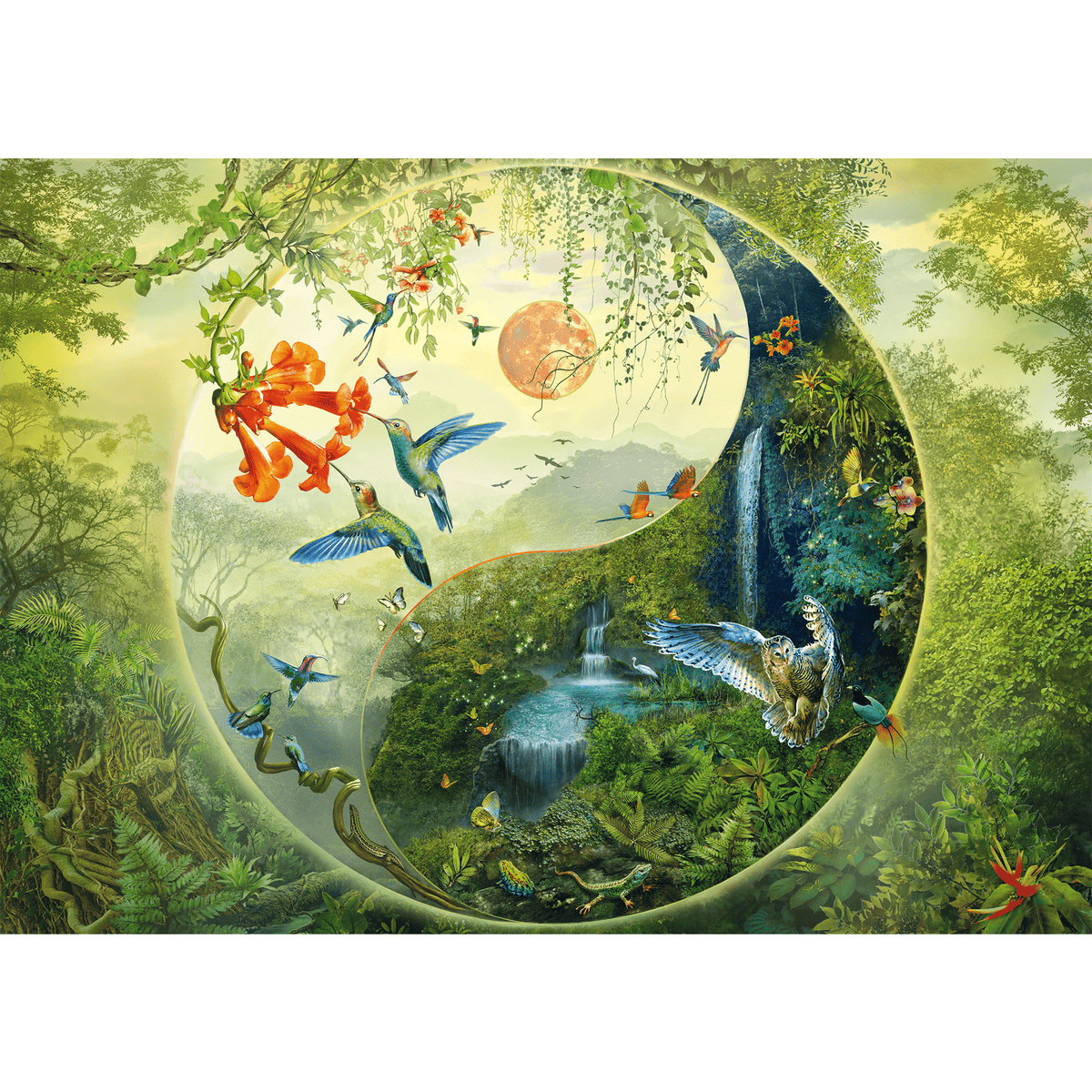 1000 Piece - Yin & Yang: In the Forest of Hummingbirds - Schmidt