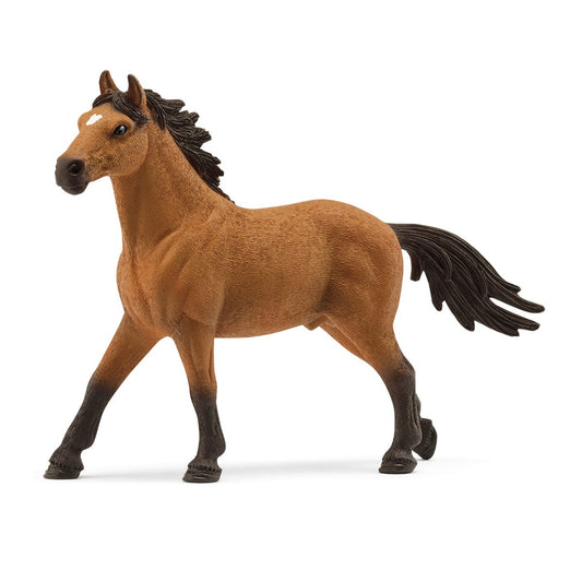 Mustang Stallion - 72200