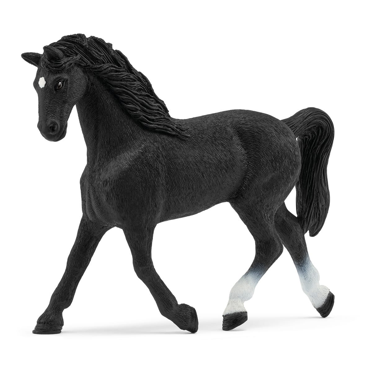 Holstein Mare - 72201