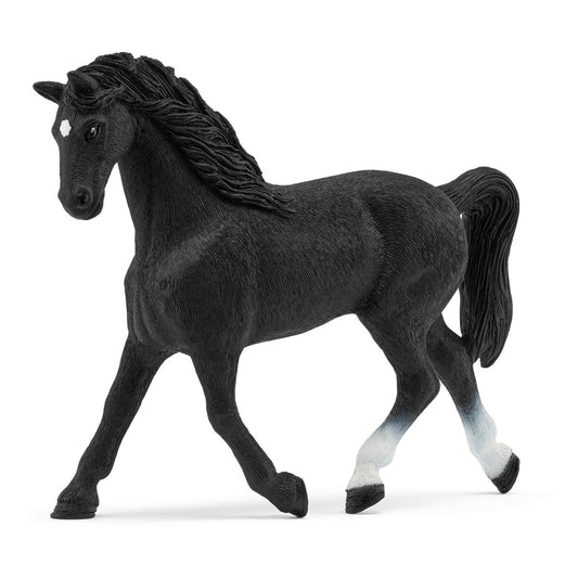 Holstein Mare - 72201