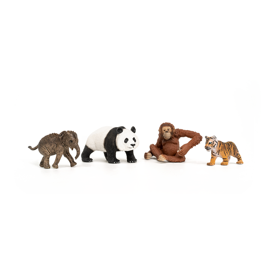 Wild Life Asia Starter Set - 42736