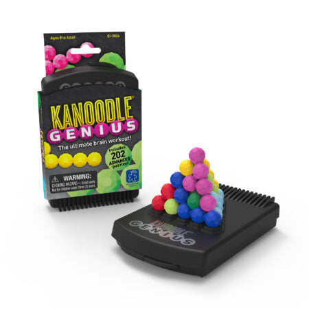 Kanoodle Genius - Educational Insights