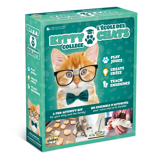 Kitty College - Kitten Activities - Gladius