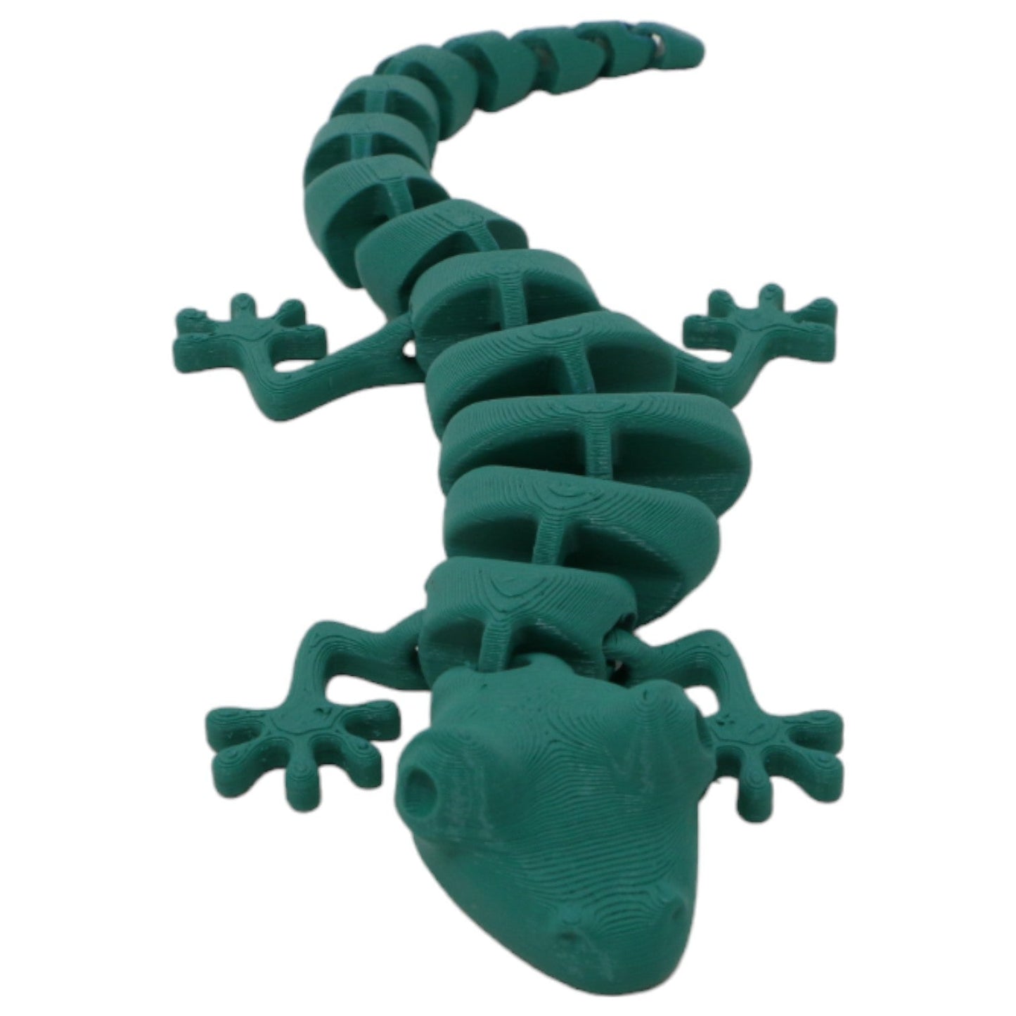 Silly Salamanders - Teal