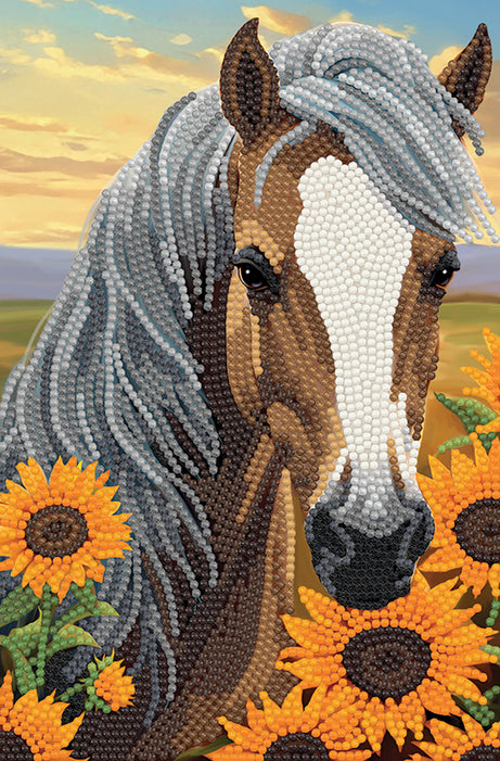 Crystal Art Notebook - Sunflower Horse - Craft Buddy