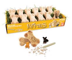 Dig It Up! Discoveries - Puppies - Mindware