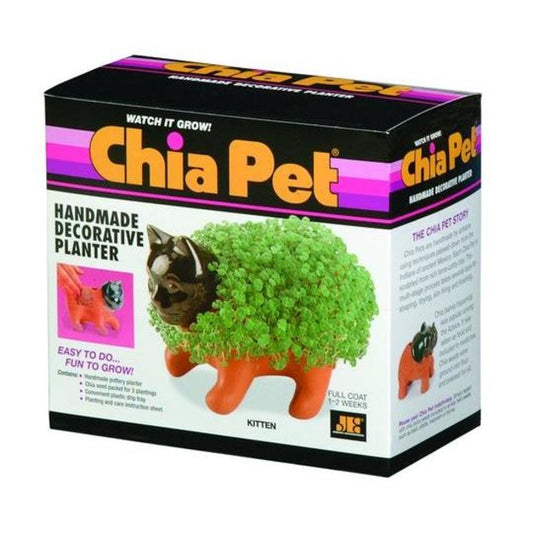 Chia Pet - Kitten