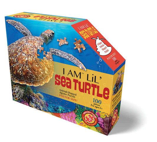 100 Piece - I Am Lil' Sea Turtle - Madd Capp