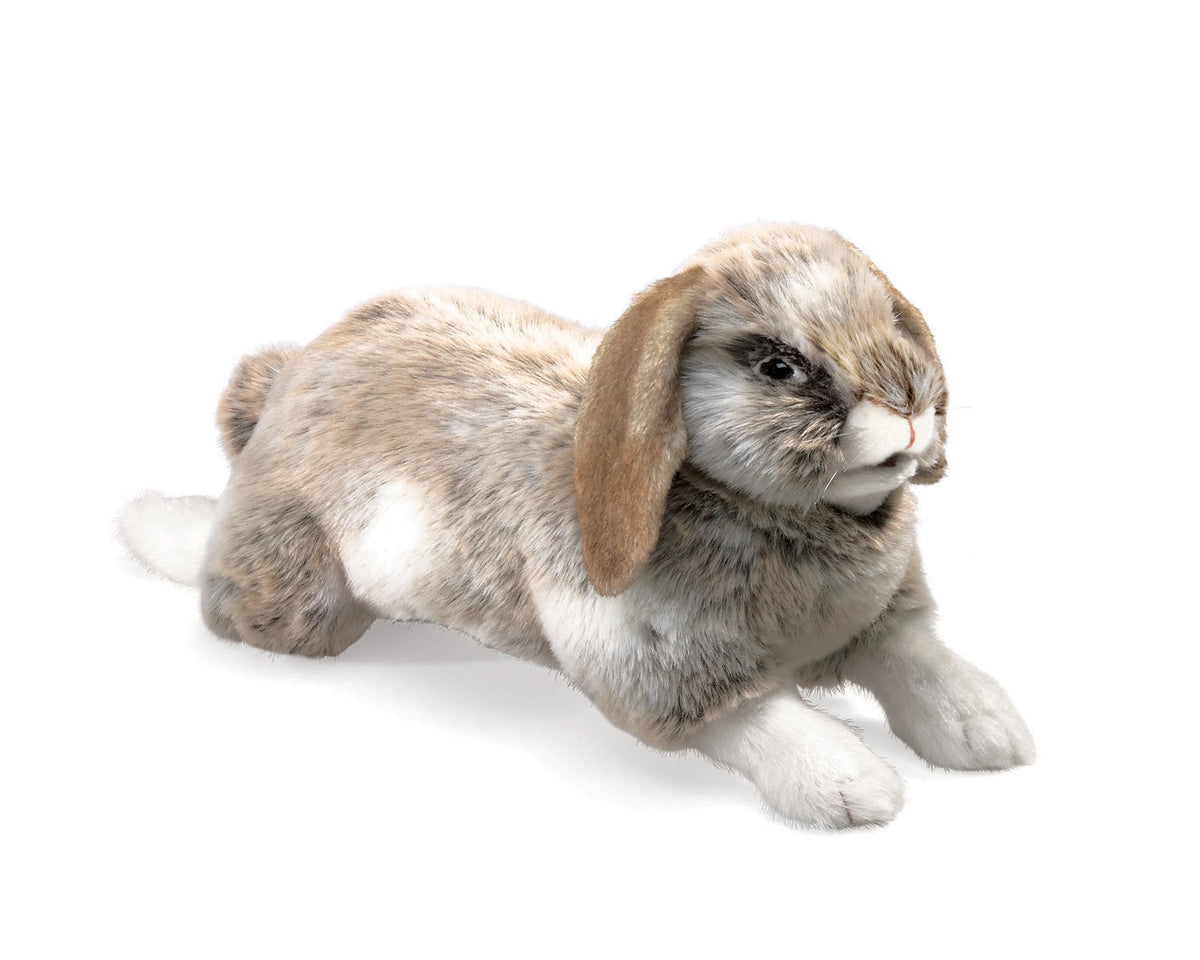 Baby Lop Rabbit - Folkmanis