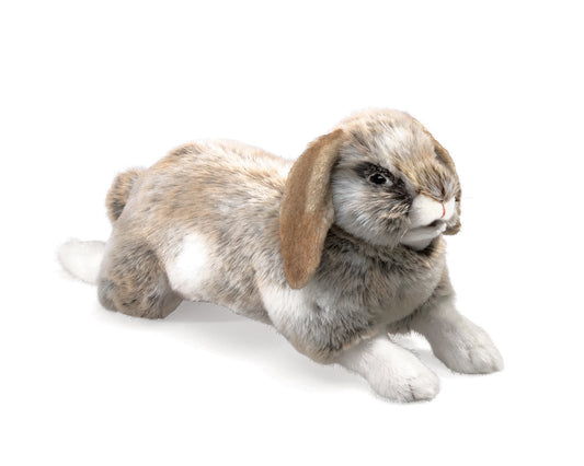 Baby Lop Rabbit - Folkmanis